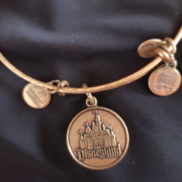 Alex and Ani Jewelry - Alex and Ani Walt Disney World Bracelet Cinderella’s Castle Gold Bangle